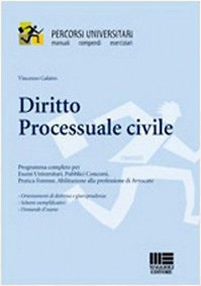 DIRITTO PROCESSUALE LIBRO